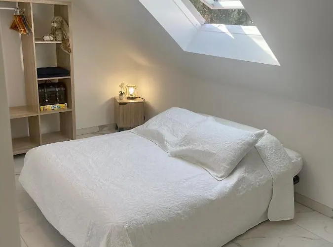 Spacieux, Lumineux Et Confortable Apartment