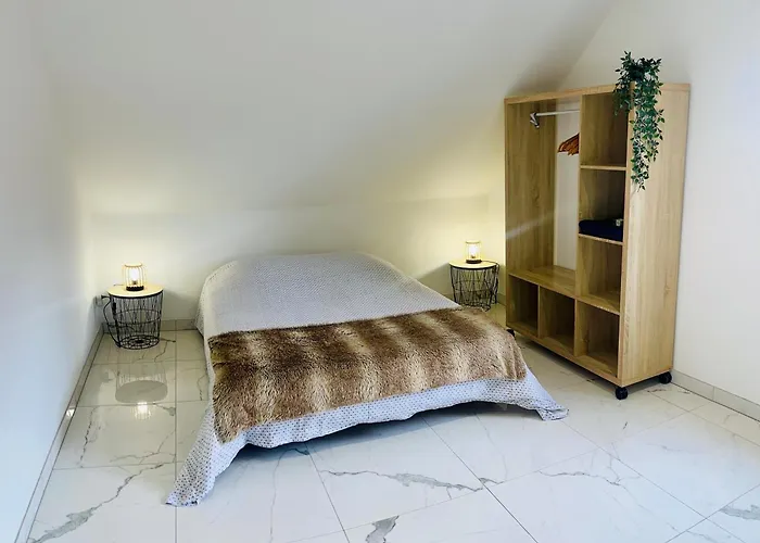 Spacieux, Lumineux Et Confortable Apartment La Walck